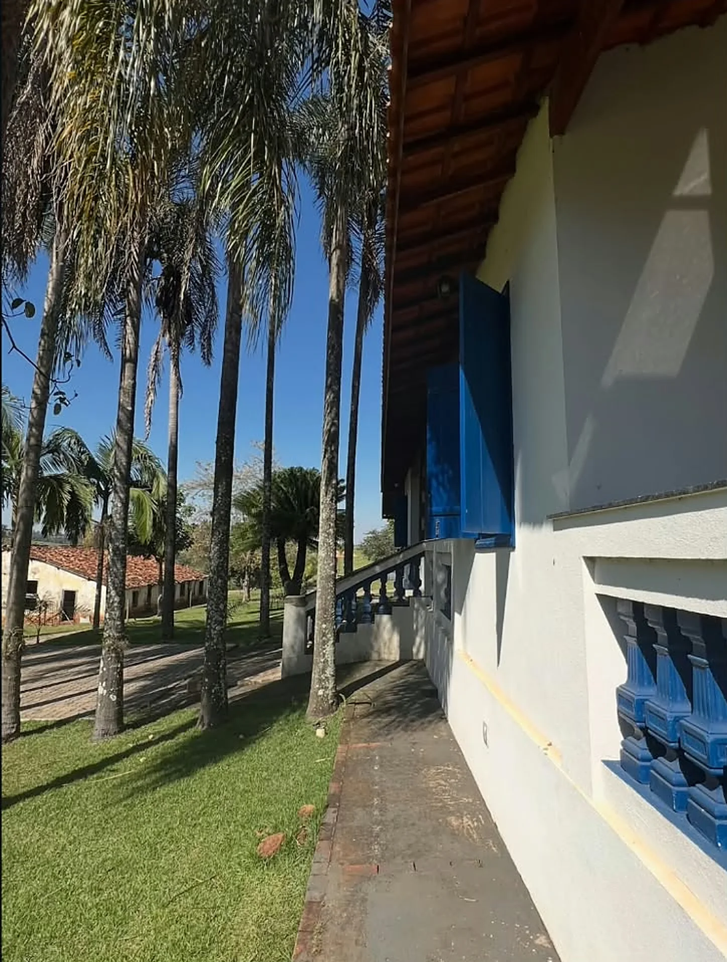 Casarão branco com janelas azuis ao lado das palmeiras