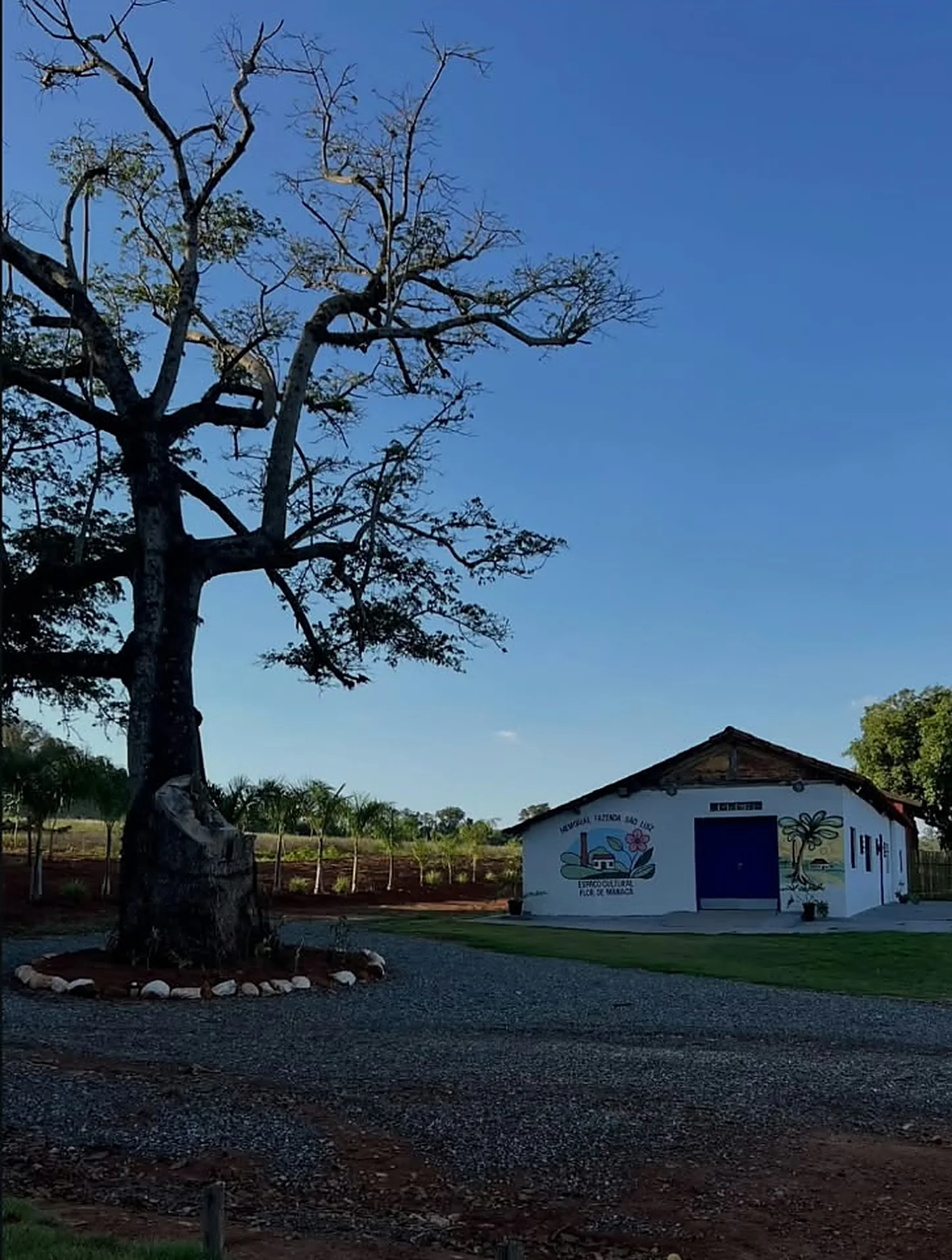 Espaço Cultural Flor de Manacá