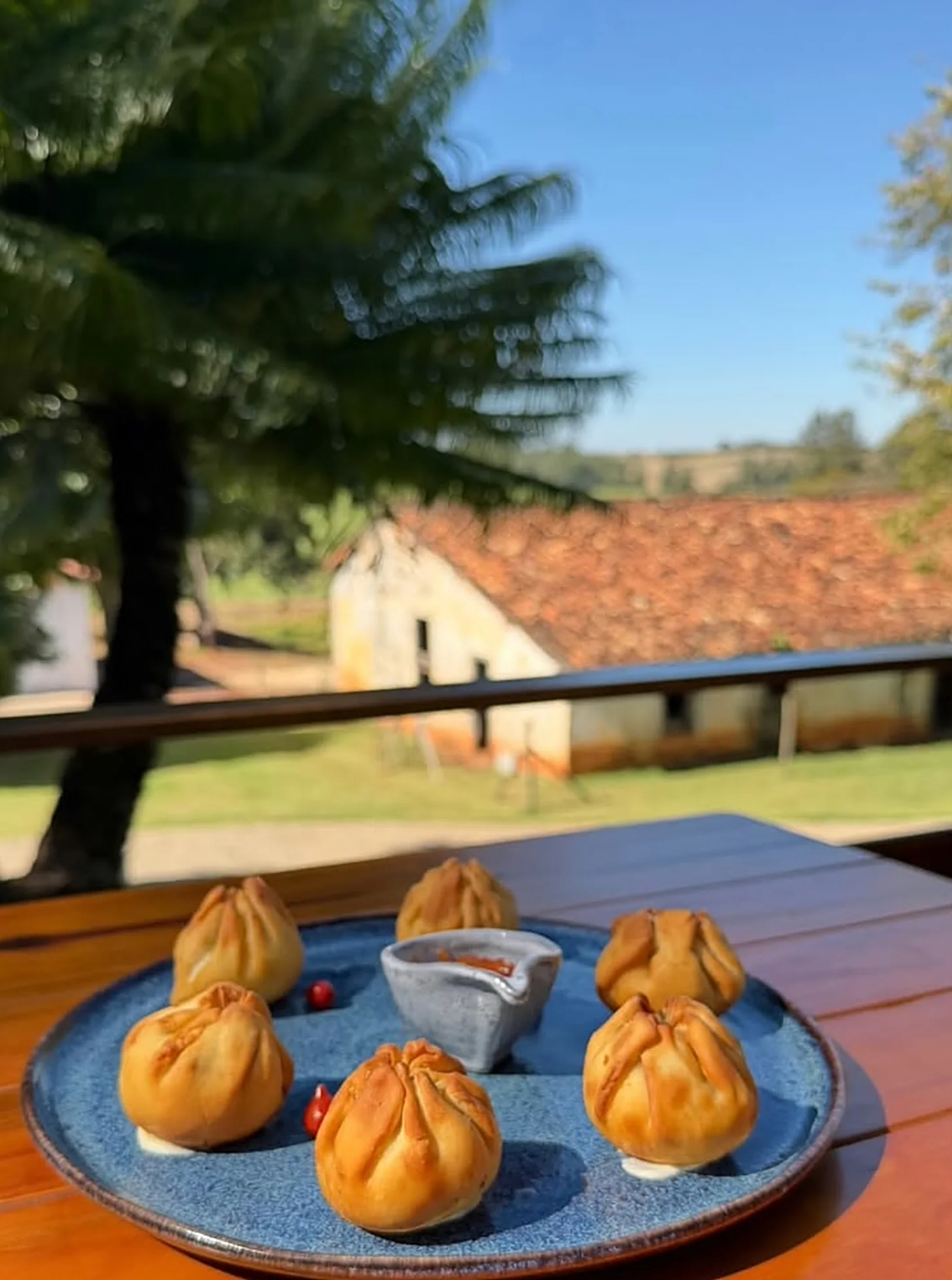 Salgados fritos em prato azul com a fazenda ao fundo